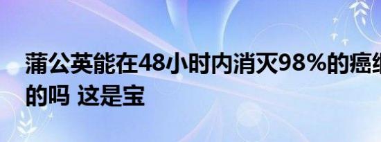 蒲公英能在48小时内消灭98%的癌细胞是真的吗 这是宝