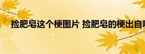 捡肥皂这个梗图片 捡肥皂的梗出自哪里 