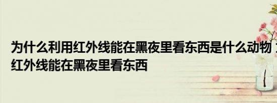 为什么利用红外线能在黑夜里看东西是什么动物 为什么利用红外线能在黑夜里看东西 