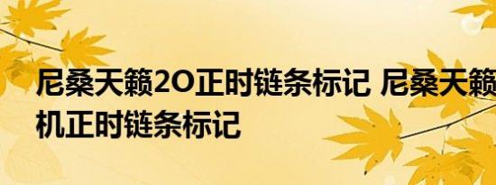 尼桑天籁2O正时链条标记 尼桑天籁2.3发动机正时链条标记 