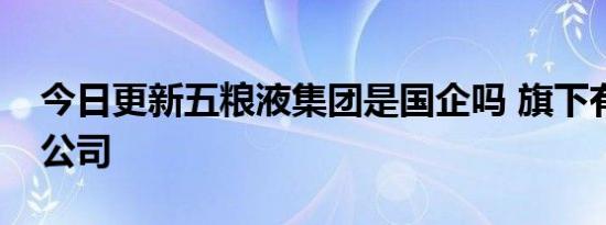 今日更新五粮液集团是国企吗 旗下有哪些子公司