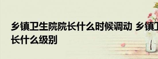 乡镇卫生院院长什么时候调动 乡镇卫生院院长什么级别 