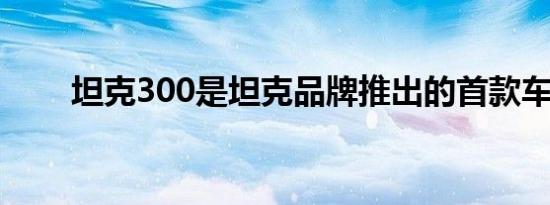 坦克300是坦克品牌推出的首款车型