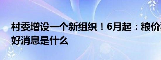 村委增设一个新组织！6月起：粮价猪价4个好消息是什么