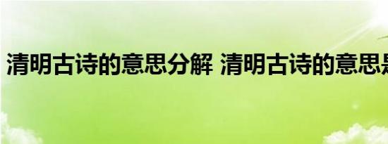 清明古诗的意思分解 清明古诗的意思是什么 