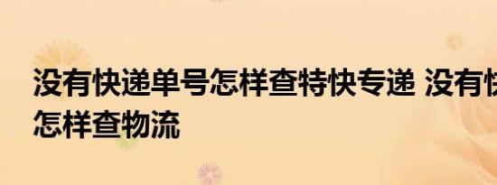 没有快递单号怎样查特快专递 没有快递单号怎样查物流 