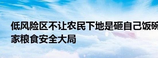 低风险区不让农民下地是砸自己饭碗 影响国家粮食安全大局