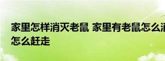 家里怎样消灭老鼠 家里有老鼠怎么消灭老鼠怎么赶走 