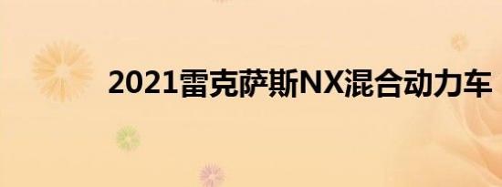 2021雷克萨斯NX混合动力车