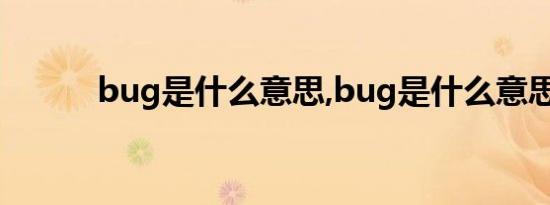 bug是什么意思,bug是什么意思