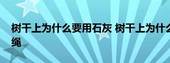 树干上为什么要用石灰 树干上为什么要绑草绳 