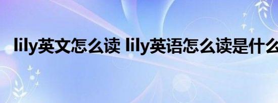 lily英文怎么读 lily英语怎么读是什么意思 