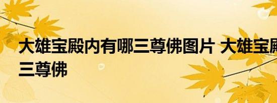 大雄宝殿内有哪三尊佛图片 大雄宝殿内有哪三尊佛 