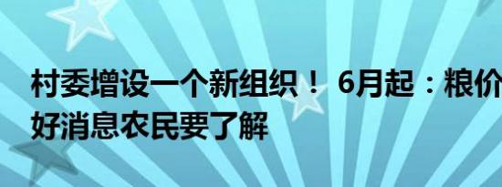 村委增设一个新组织！ 6月起：粮价猪价4个好消息农民要了解