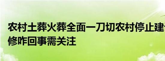 农村土葬火葬全面一刀切农村停止建设不许翻修咋回事需关注