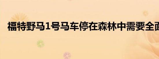 福特野马1号马车停在森林中需要全面修复