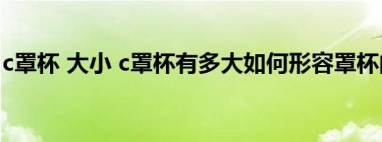 c罩杯 大小 c罩杯有多大如何形容罩杯的大小 