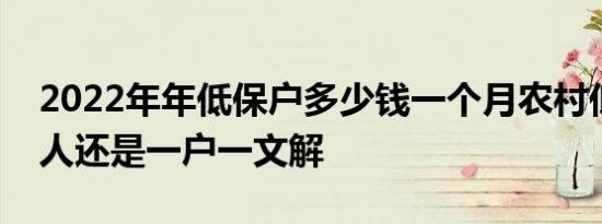 2022年年低保户多少钱一个月农村低保是个人还是一户一文解