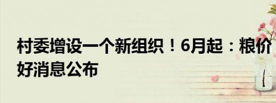 村委增设一个新组织！6月起：粮价 猪价4个好消息公布