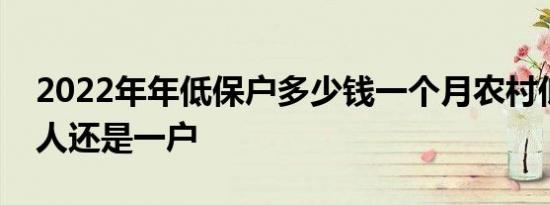 2022年年低保户多少钱一个月农村低保是个人还是一户