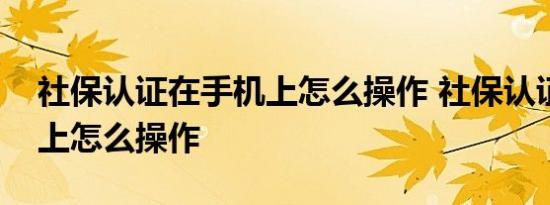 社保认证在手机上怎么操作 社保认证在手机上怎么操作 