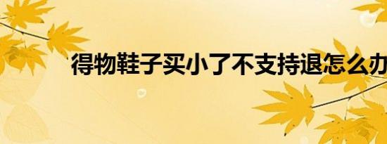 得物鞋子买小了不支持退怎么办