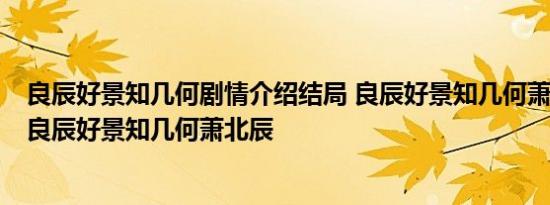 良辰好景知几何剧情介绍结局 良辰好景知几何萧北辰结局  良辰好景知几何萧北辰