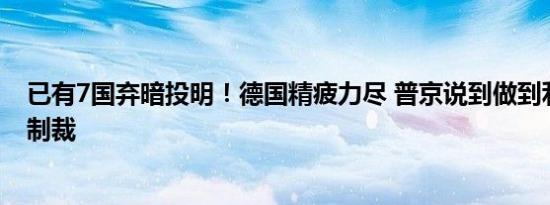 已有7国弃暗投明！德国精疲力尽 普京说到做到利用能源反制裁