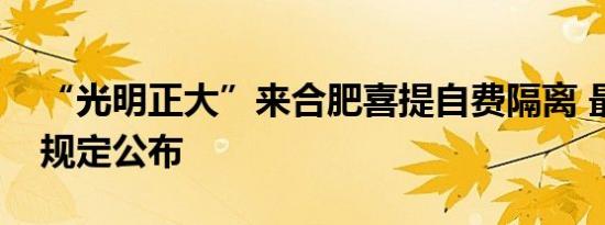 “光明正大”来合肥喜提自费隔离 最新出入规定公布