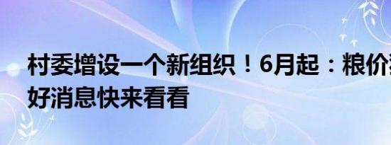 村委增设一个新组织！6月起：粮价猪价4个好消息快来看看