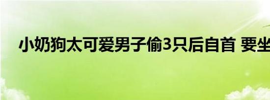 小奶狗太可爱男子偷3只后自首 要坐牢吗