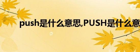 push是什么意思,PUSH是什么意思