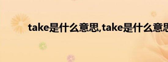 take是什么意思,take是什么意思