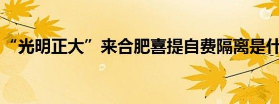 “光明正大”来合肥喜提自费隔离是什么情况