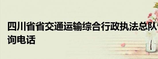 四川省省交通运输综合行政执法总队情防控咨询电话