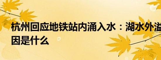 杭州回应地铁站内涌入水：湖水外溢 事故原因是什么