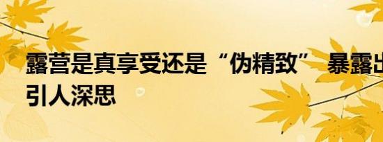 露营是真享受还是“伪精致” 暴露出的问题引人深思