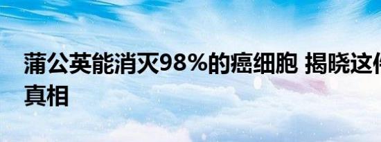 蒲公英能消灭98%的癌细胞 揭晓这件事情的真相