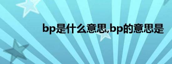 bp是什么意思,bp的意思是