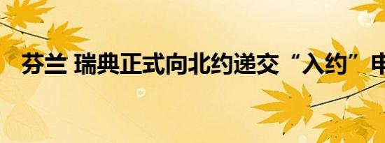 芬兰 瑞典正式向北约递交“入约”申请信