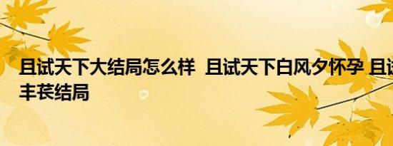 且试天下大结局怎么样  且试天下白风夕怀孕 且试天下大哥丰苌结局