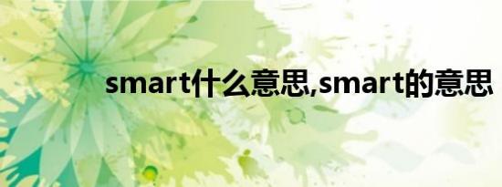 smart什么意思,smart的意思