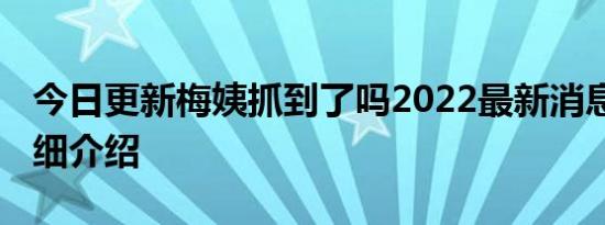 今日更新梅姨抓到了吗2022最新消息 案件详细介绍