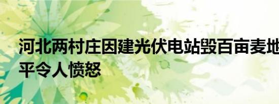 河北两村庄因建光伏电站毁百亩麦地 强行铲平令人愤怒