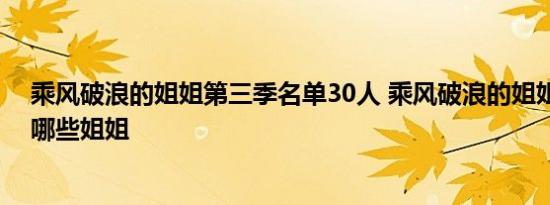 乘风破浪的姐姐第三季名单30人 乘风破浪的姐姐第三季有哪些姐姐