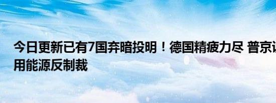 今日更新已有7国弃暗投明！德国精疲力尽 普京说到做到利用能源反制裁