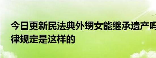 今日更新民法典外甥女能继承遗产吗 最新法律规定是这样的