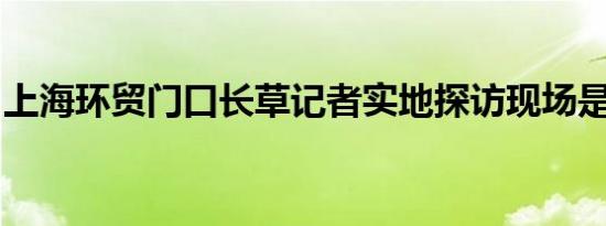 上海环贸门口长草记者实地探访现场是这样的