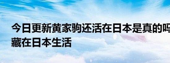 今日更新黄家驹还活在日本是真的吗 被曝隐藏在日本生活