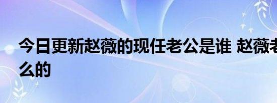 今日更新赵薇的现任老公是谁 赵薇老公做什么的